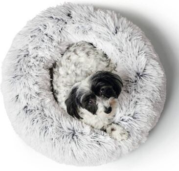 Hunter Cama para Cães (Branco - Poliéster - 50 cm)