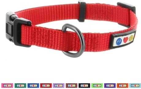 Dashi Coleira para Cães (Vermelho - XS - Porte Pequeno)