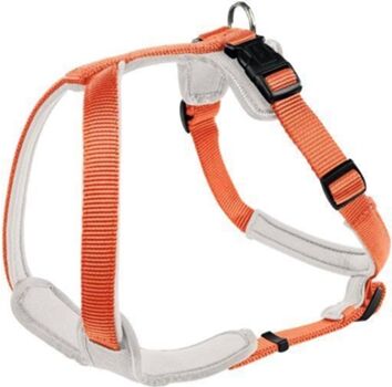 Hunter Peitoral para Cães Neoprene Laranja (XXL)