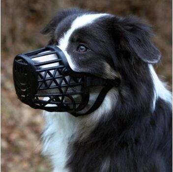 Trixie Açaime para Cães (Preto - Plástico - S - Porte Pequeno)