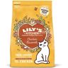 Lilys Kitchen Lily's Kitchen Adult Chicken Casserole Dry Food, 800 g