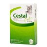 Ceva Cestal Cat Chew x 8 tb