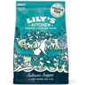 Lily's Kitchen Lilys Kitchen for Dogs Salmon Supper Adult Dry Food 1 kg