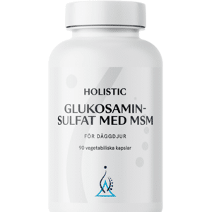 Holistic Glukosaminsulfat med MSM 90 kapslar