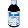 GELACAN Chondro forte biosol 500 ml