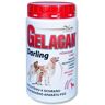 GELACAN Darling 500 g