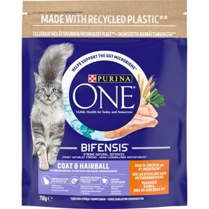 PURINA ONE Coat & Hairball Chicken & Whole Grains Dry Cat Food - 750g