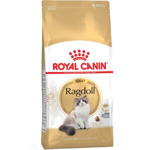 Royal Canin Breed Royal Canin Ragdoll Adult - 2kg