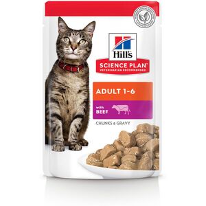 Hill's Science Plan Adult Pouches - Beef (12 x 85g)