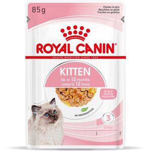 Royal Canin Kitten in Jelly - Saver Pack: 48 x 85g