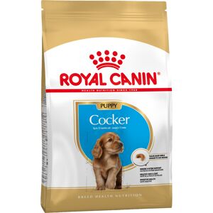 Royal Canin Breed Royal Canin Cocker Spaniel Puppy - Economy Pack: 2 x 3kg