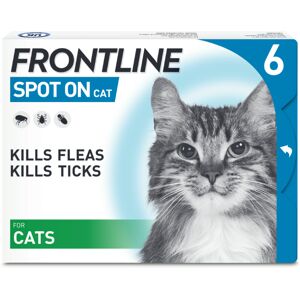 FRONTLINE® Spot On for Cats - Saver Pack: 2 x 6 pipettes x 0.5ml