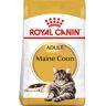 Royal Canin Maine Coon Cat Food