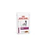 ROYAL CANIN Canine Renal Pouch 12x100g