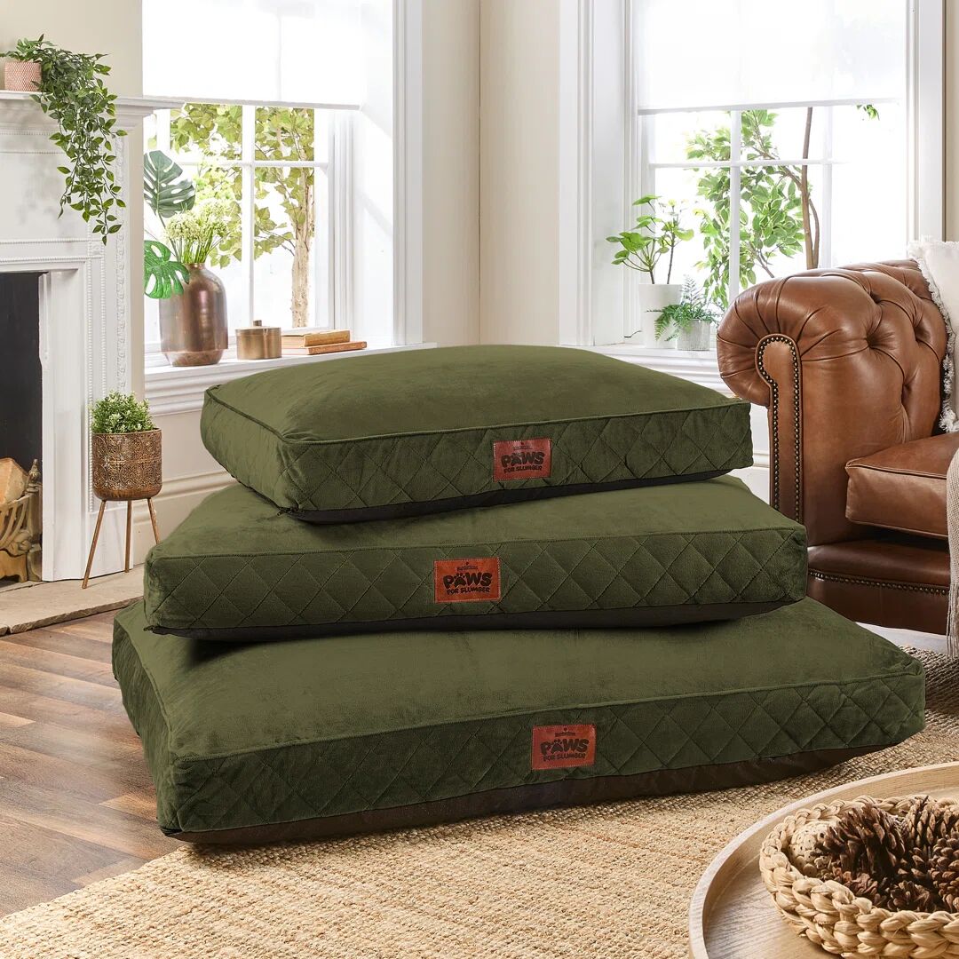 Photos - Bed & Furniture Olive Slumberdown Paws for Slumber Raised Anti Slip Dog Bed green 20.0 H x 120.0 