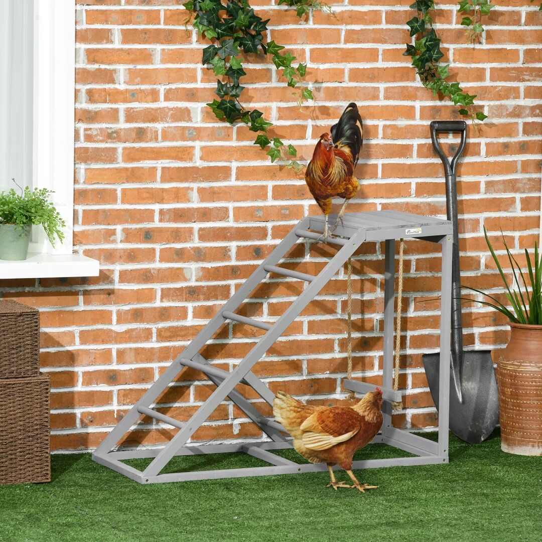 PawHut 71cm Bird Chicken Activity Shelf 71.0 H x 96.0 W x 40.0 D cm