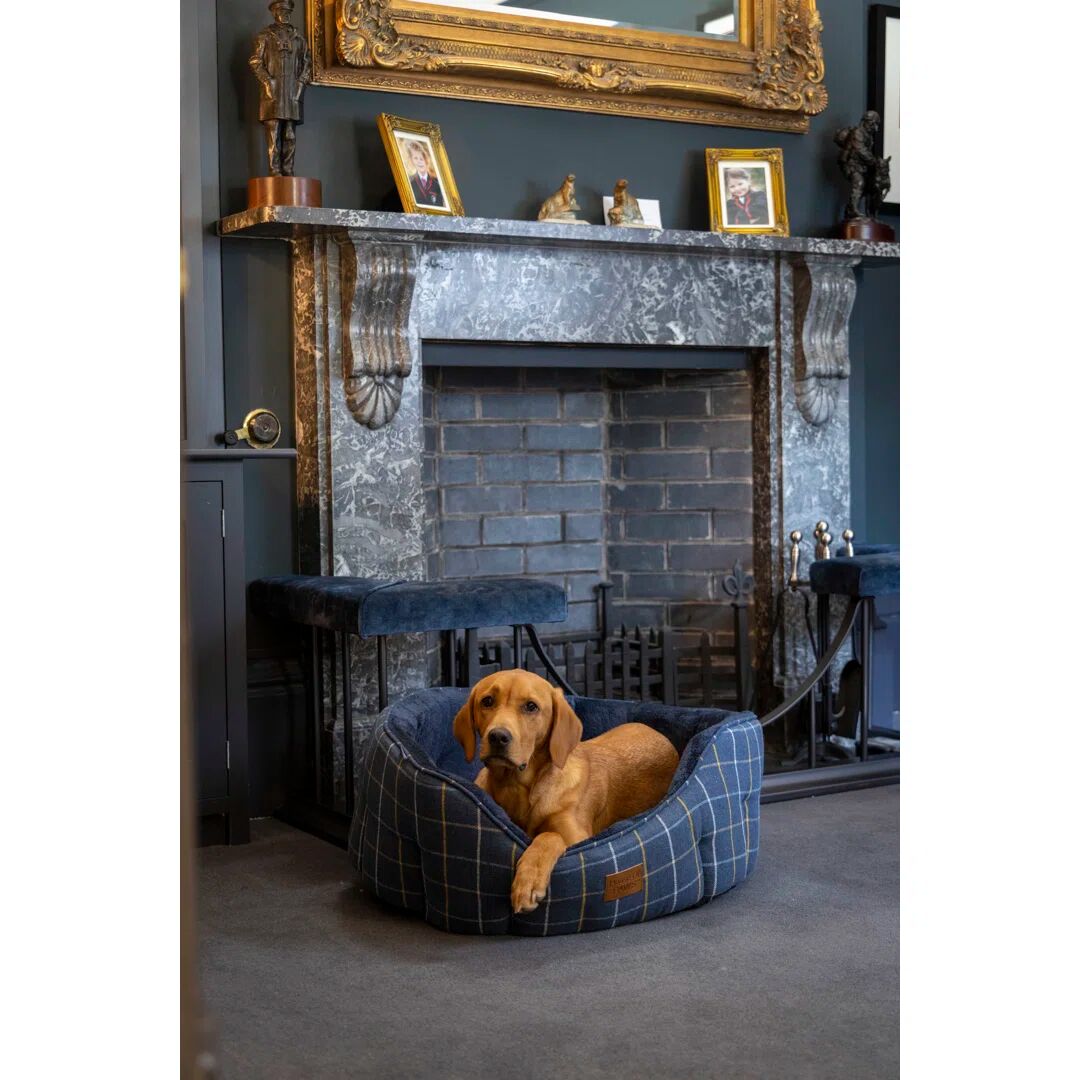 Photos - Bed & Furniture House of Paws Navy Tweed Dog Bed blue 30.0 H x 80.0 W x 85.0 D cm