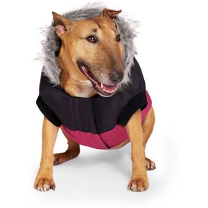 Canada Pooch True North Parka for Dogs, XX-Small, Pink, Pink