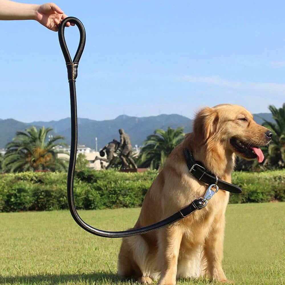 Mounteen 2-in-1 Rolled PU Leather Dog Collar & Leash