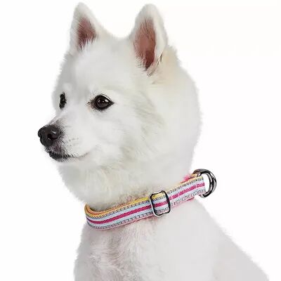 Blueberry Pet Reflective Multi-color Stripe Dog Collar, Multicolor, Small