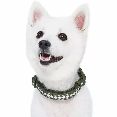 Blueberry Pet 3M Reflective Jacquard Padded Dog Collar, Green, Medium