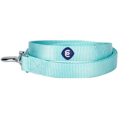 Blueberry Pet Classic Dog Leash, Small