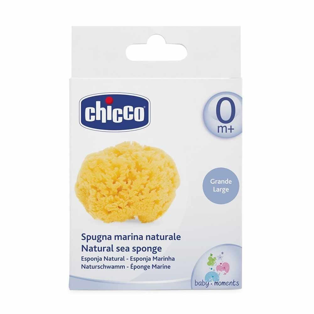 Chicco Spugna Marina Formato Grande 0M+