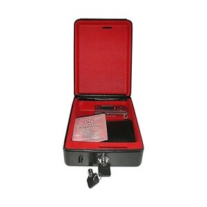 PRO PLUS Proplus Sicherheitskassette 225 x 165 x 85 mm mit Halterung