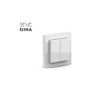 Senic Friends of Hue Smart switch Vi