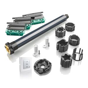 2401529 - Kit de remplacement avec moteur Oximo io pour moteur volet roulant - Radio io - 6Nm - Fenêtre