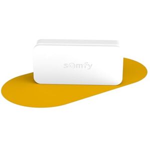 somfy 2401487 IntelliTAG Détecteur auto-protégé de vibration pour intérieur ou extérieur Détection avant l'ouverture Compatible One (+) & Home Alarm (Advanced et Essential) - Publicité