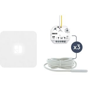 Pack Rf 4890 Connecté 3 Rf 4890 + 3 Sondes + 1 Box Connectée Tydom Home - Deltadore 6050659