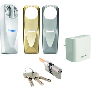 SOMFY Kit di controllo accesso  wi-fi