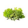 Click and Grow Click & grow Green Salad Mix 9 vullingen