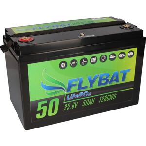 FLYBAT LiFePO4 Akku 24V (25,6V) 50Ah inkl. Bluetooth und CanBus