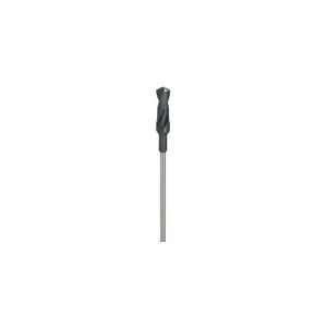 Bosch Powertools Bosch FORSKALNINGS & INSTALLATIONSBOR 28X600MM