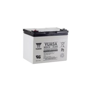 Yuasa REC36-12 Blybatteri 12 V 36 Ah Blyfleece (B x H x T) 196 x 169 x 130 mm M5 skruetilslutning Lav selvafladning, Let at vedligeholde, Cyklusstabi