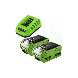 2x GreenWorks G40B6 / G-MAX 40V batterier (40 V, 5 Ah) + oplader