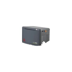 Pramac Generador eléctrico a gas, potencia de emergencia 10.000 VA, 230 V, 1 fase, 9 kW