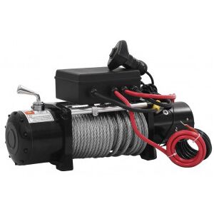 vidaXL Cabrestante Eléctrico 210022 12 V 5909 Kg