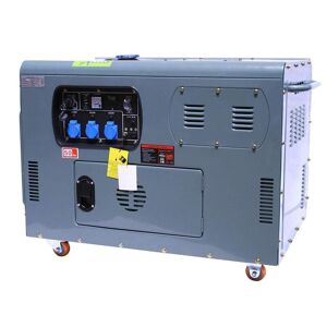 Varan Motors - 92692 Generateur / Groupe electrogene Diesel insonorise 12kW 230V + 12V
