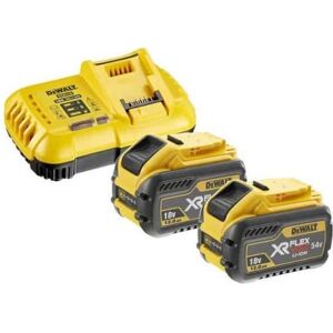 DEWALT Pack 2 batteries FLEXVOLT XR 54V 4Ah + Chargeur - DCB118Y2