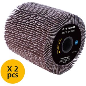 Lot de 2 brosses à lamelles abrasives Peugeot Ø120x100mm grain 40