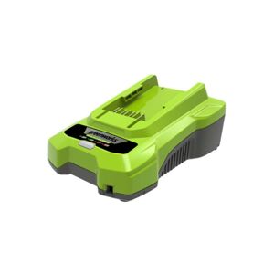 Chargeur GREENWORKS 40V - G40C