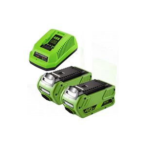 GreenWorks 2x GreenWorks G40B6 / G-MAX 40V batteries (40 V, 5 Ah) + chargeur