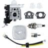 Axaooqeld Carburateur Kit Repower Carburateur Carburateur onderdelen voor RB-K85 PB-265L PB-251 PB-265LN PB250LN ES250 PB-25