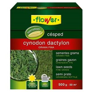 FLOWER Cynodon Dactilon feine Blume - 500 g