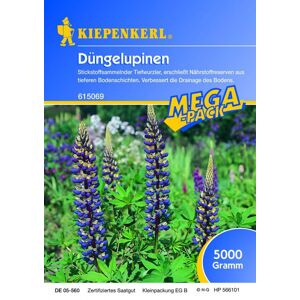 Kiepenkerl engrais vert lupins 5kg - 615069