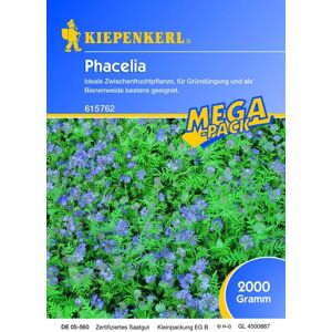 Kiepenkerl Engrais Vert Phacelie 2kg 615762