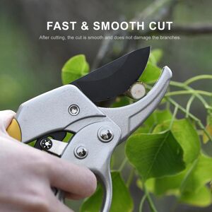 Cmperipheral 2 Sécateur à lame en acier avec poignées ergonomiques, ciseaux de jardinage, bonsaï - Publicité